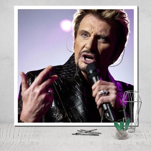 Tableau déco portrait Johnny Hallyday Pop Art - Tableau Deco